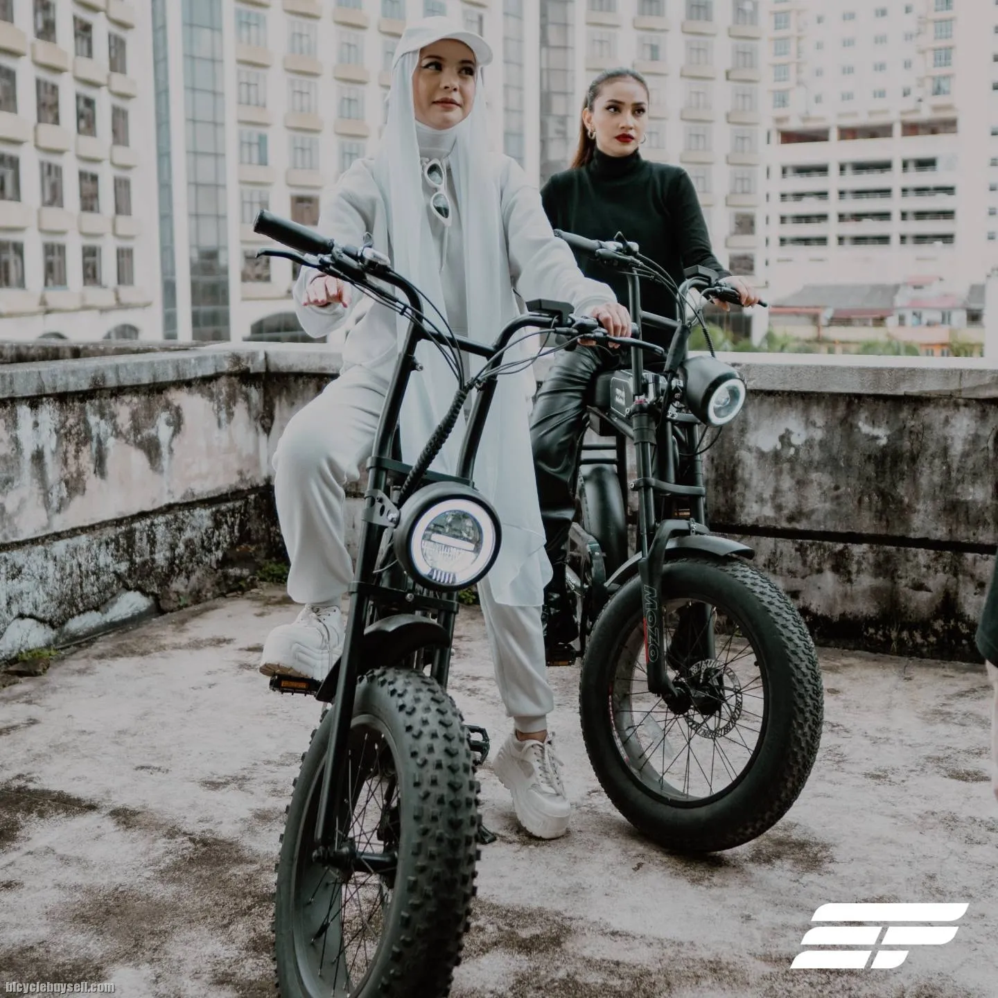 Electric Bicycle Zeus Omega (Advanced model)