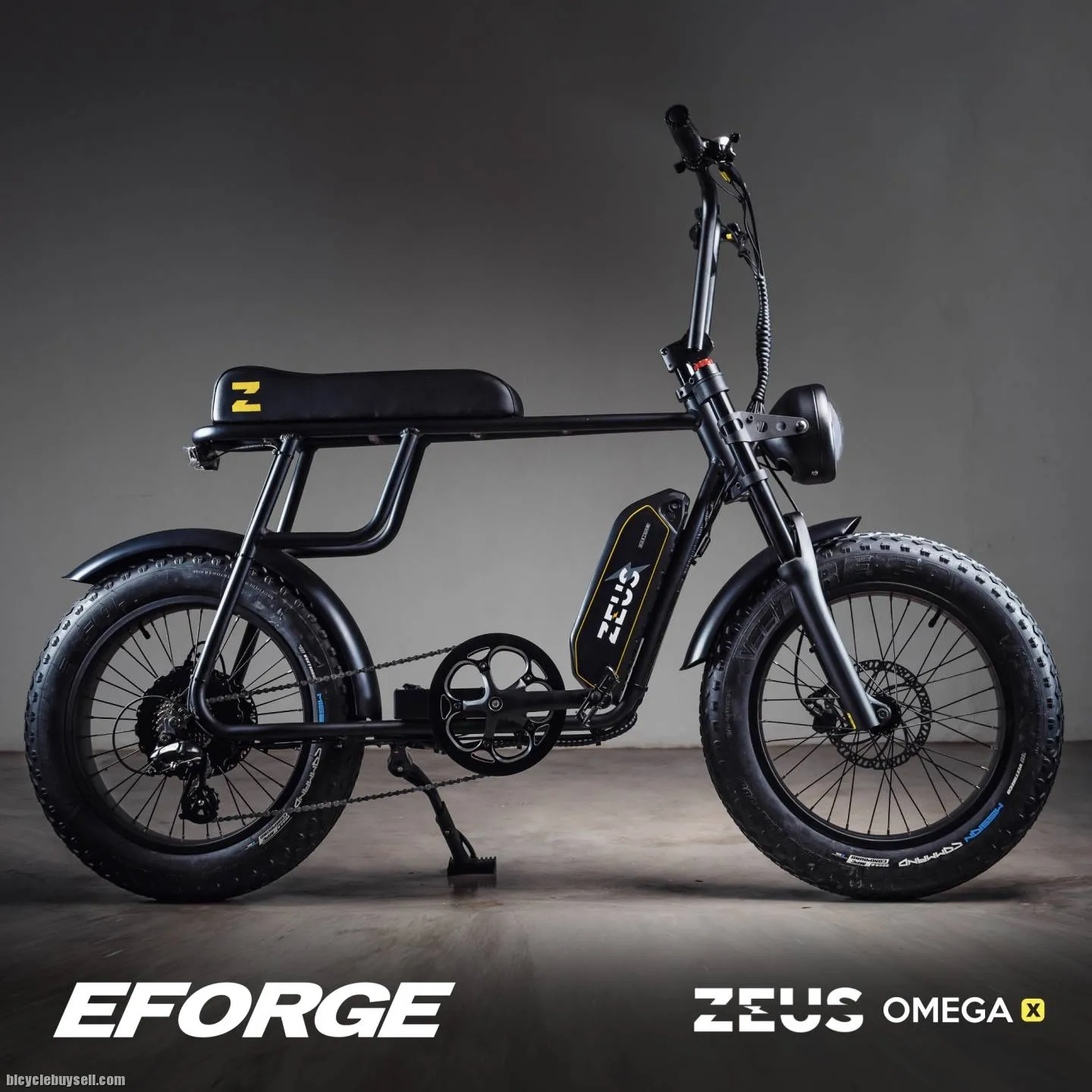 Electric Bicycle Zeus Omega X (Flagship model)