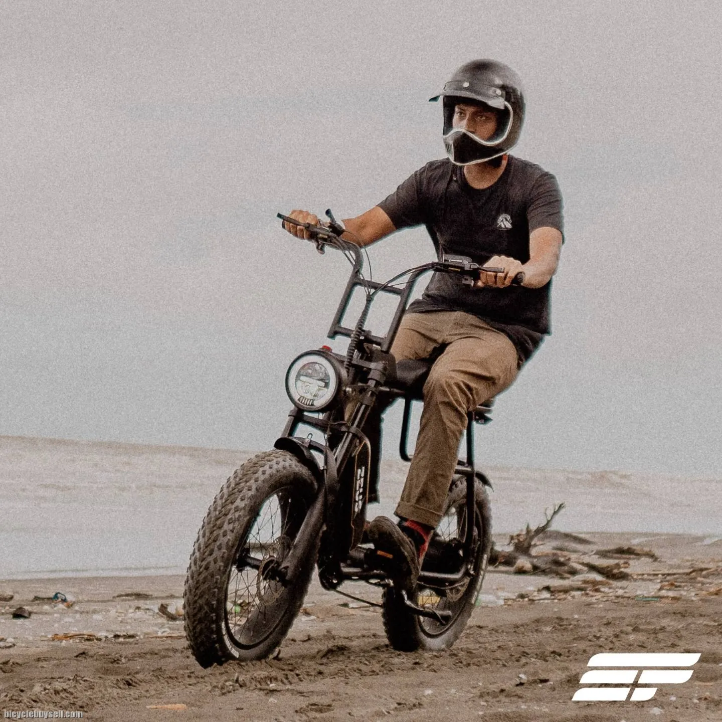 Electric Bicycle Zeus Omega X (Flagship model)