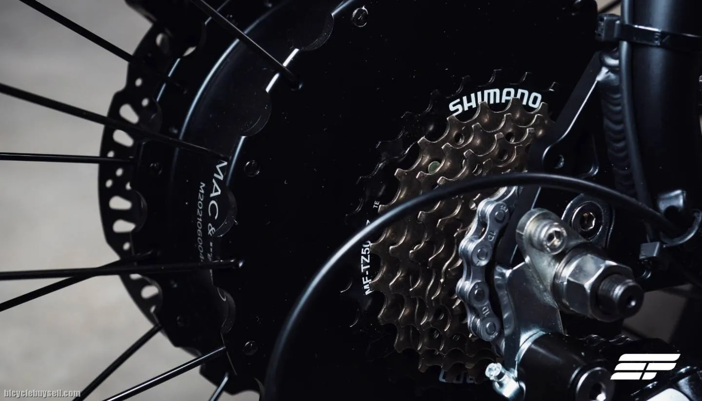 Electric Bicycle Zeus Omega X (Flagship model)