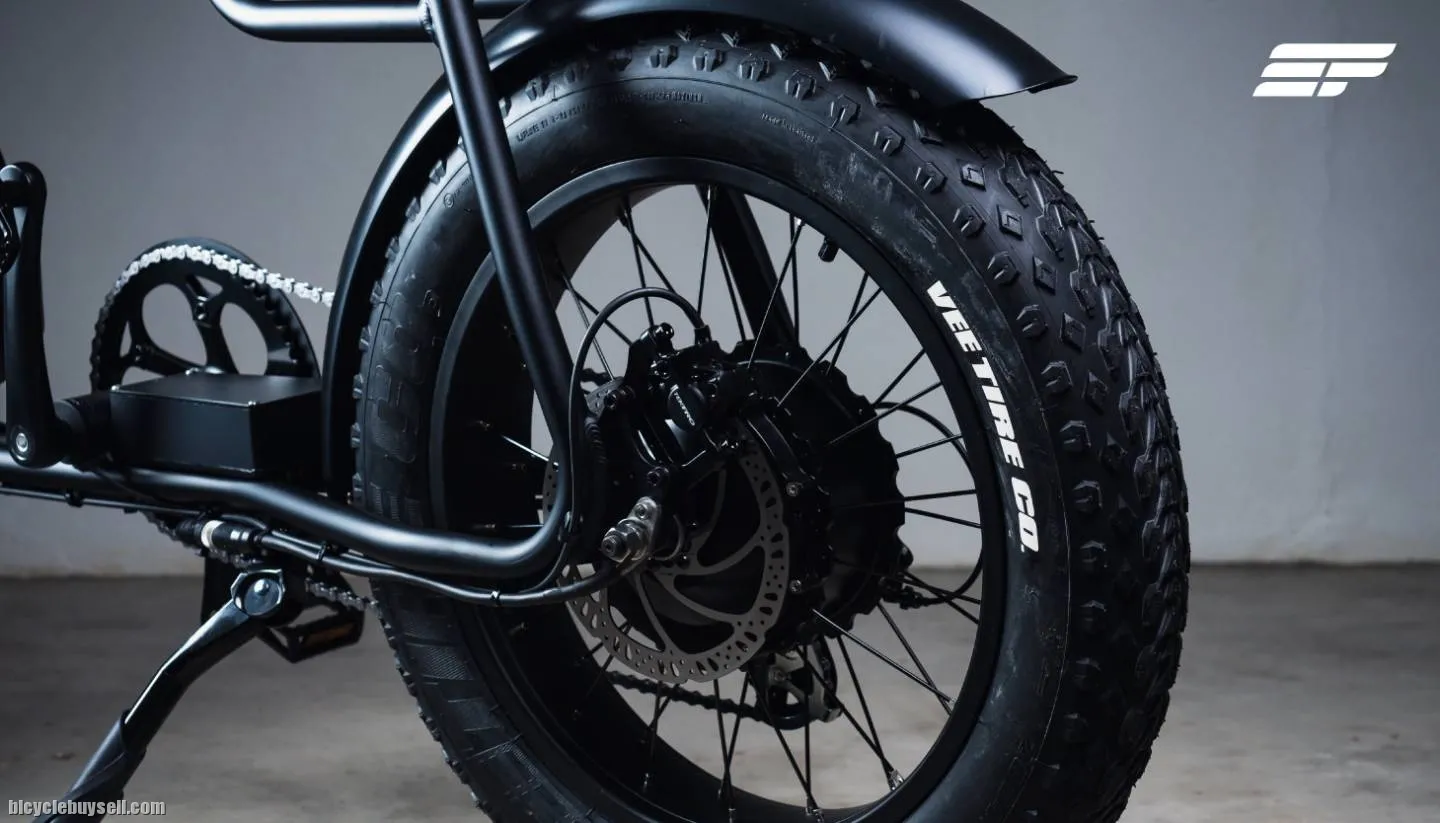 Electric Bicycle Zeus Omega X (Flagship model)