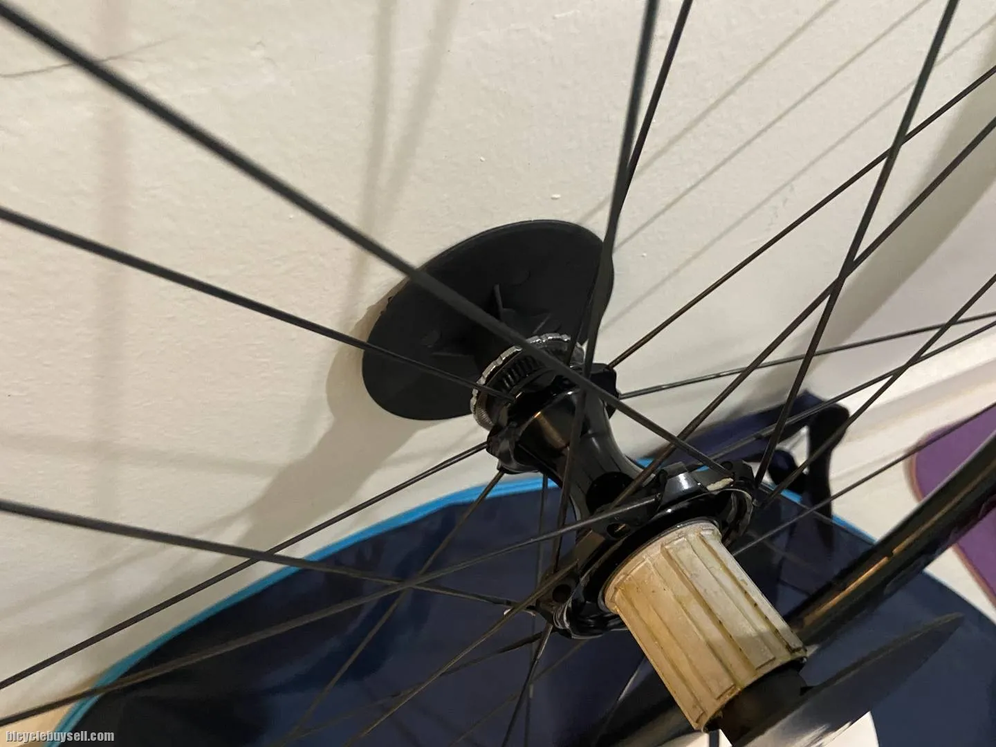 campagnolo bora wto 33 disc