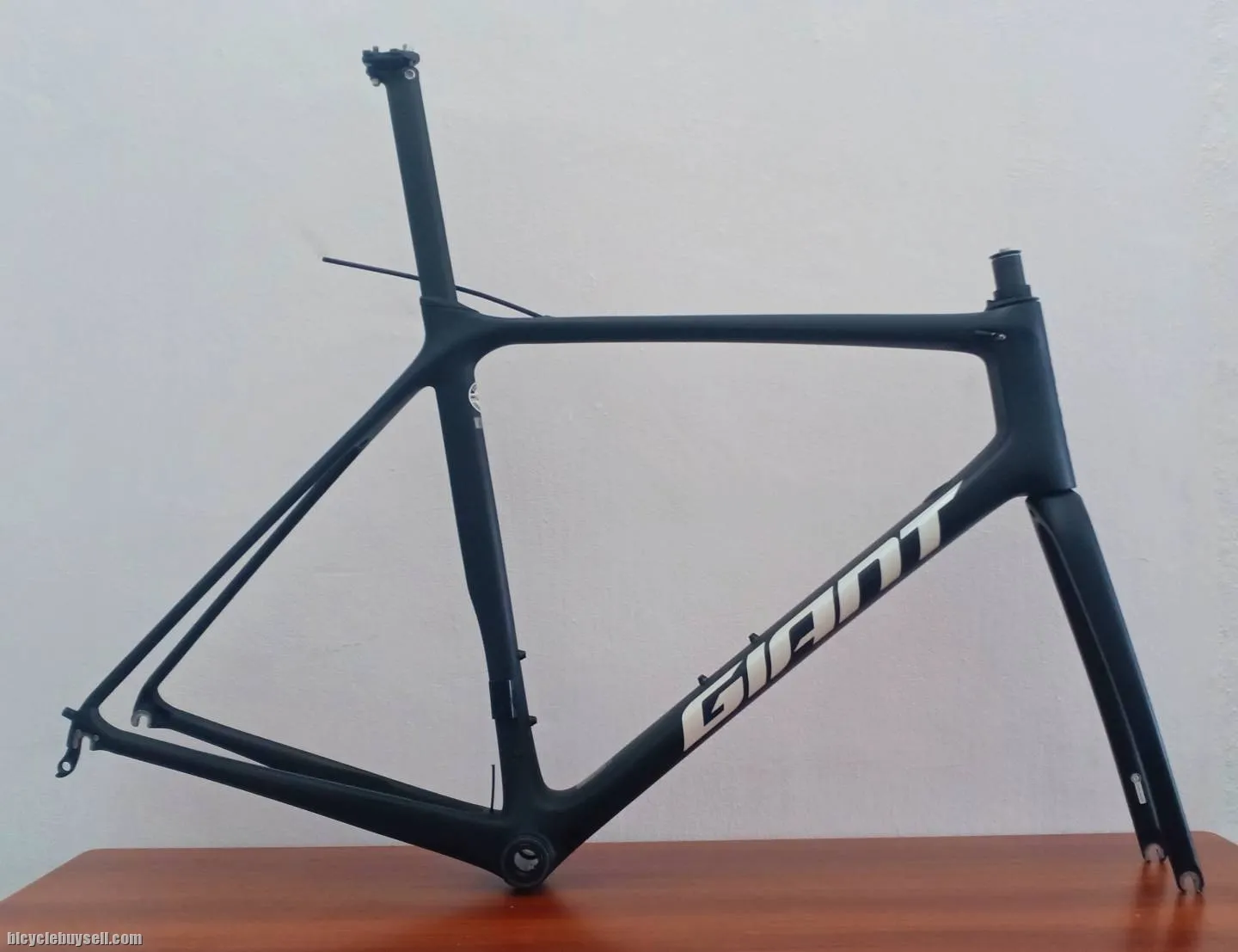 Frameset Giant TCR Advanced 2021