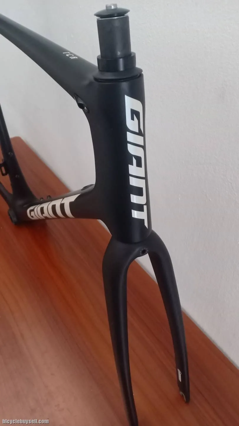 Frameset Giant TCR Advanced 2021