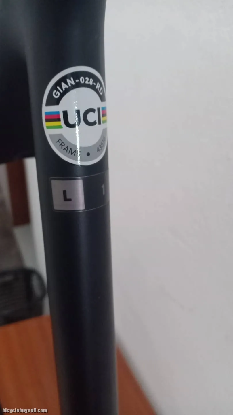 Frameset Giant TCR Advanced 2021