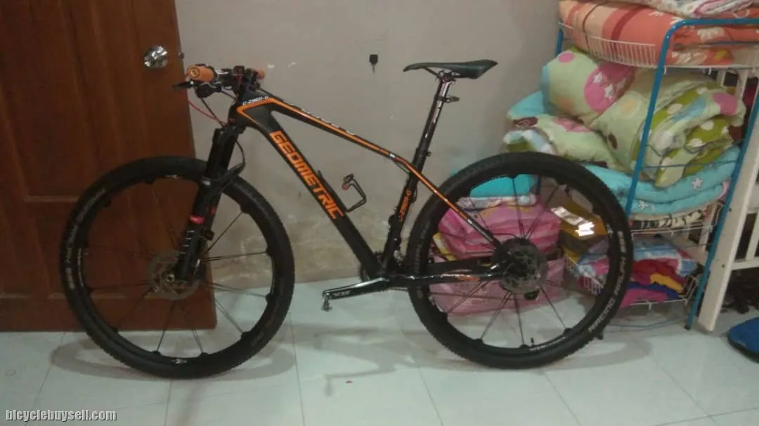 29er Carbon Geometric Elite Cobalt 3