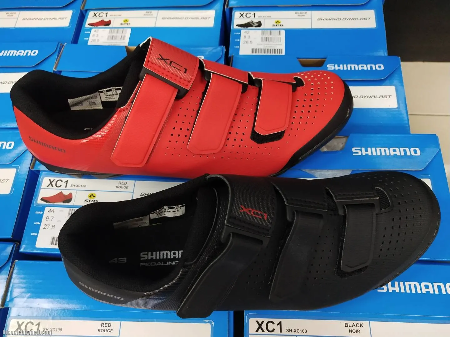 SHIMANO MTB SHOES XC1