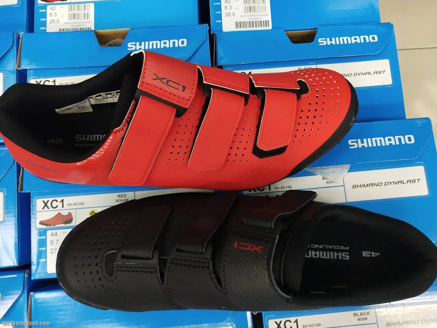 SHIMANO MTB SHOES XC1