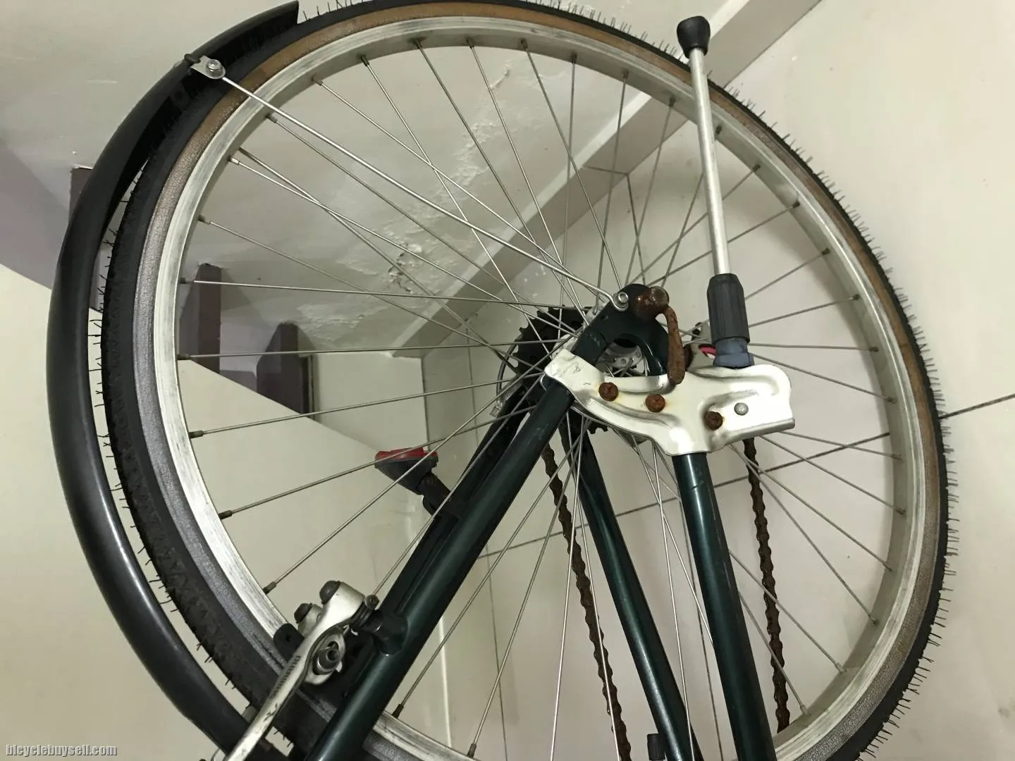Releigh Mario 700c bike