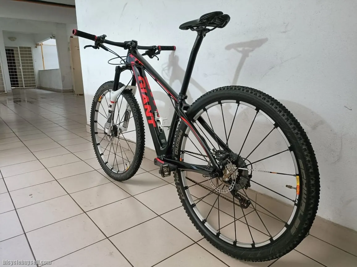 GIANT COMPOSITE TECHNOLOGY 2 CARBON