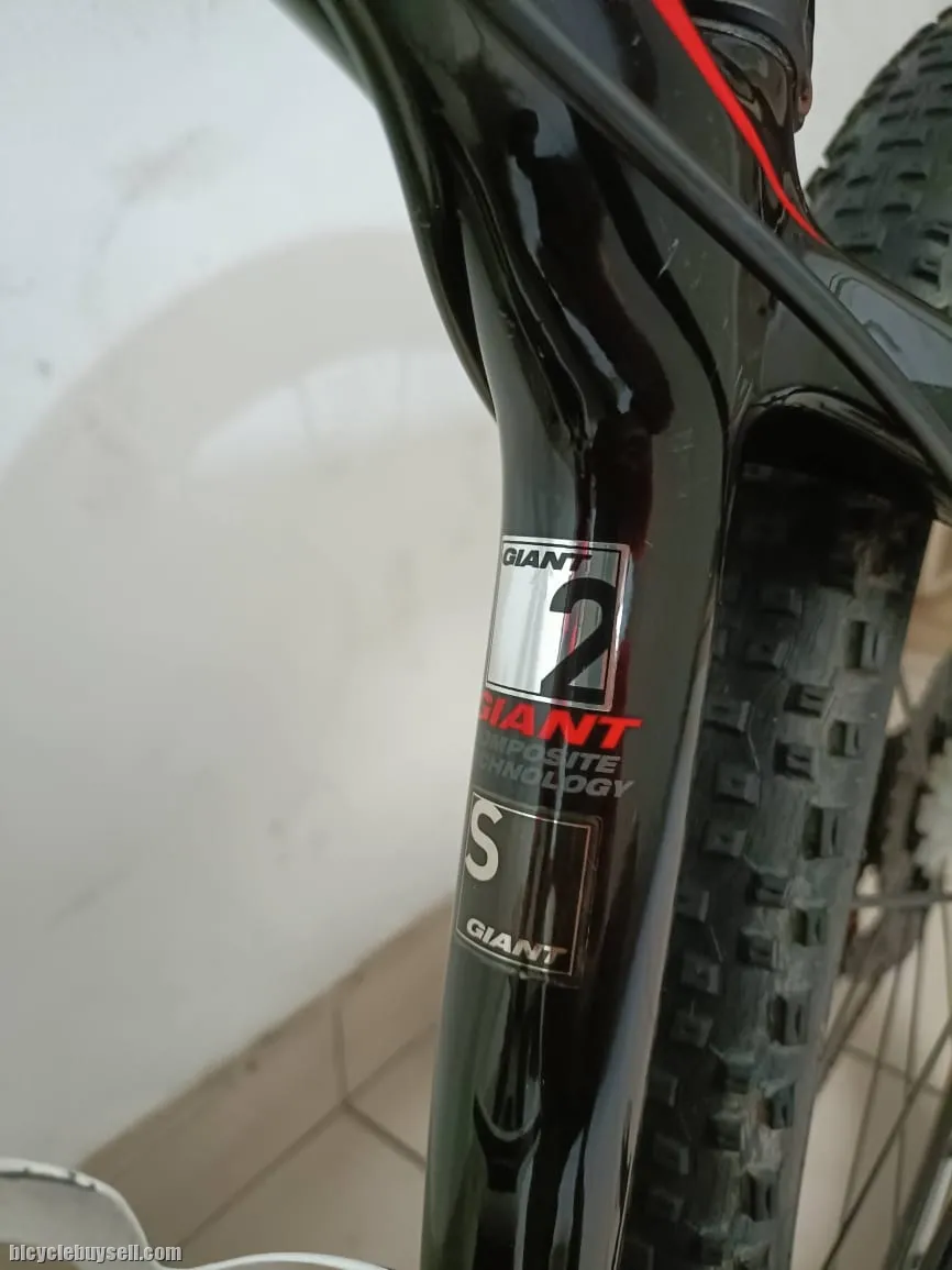 GIANT COMPOSITE TECHNOLOGY 2 CARBON