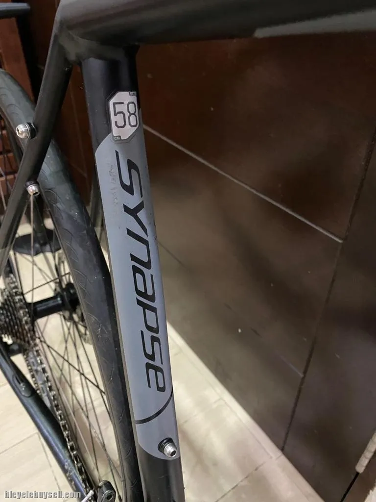 cannondale synapse disc
