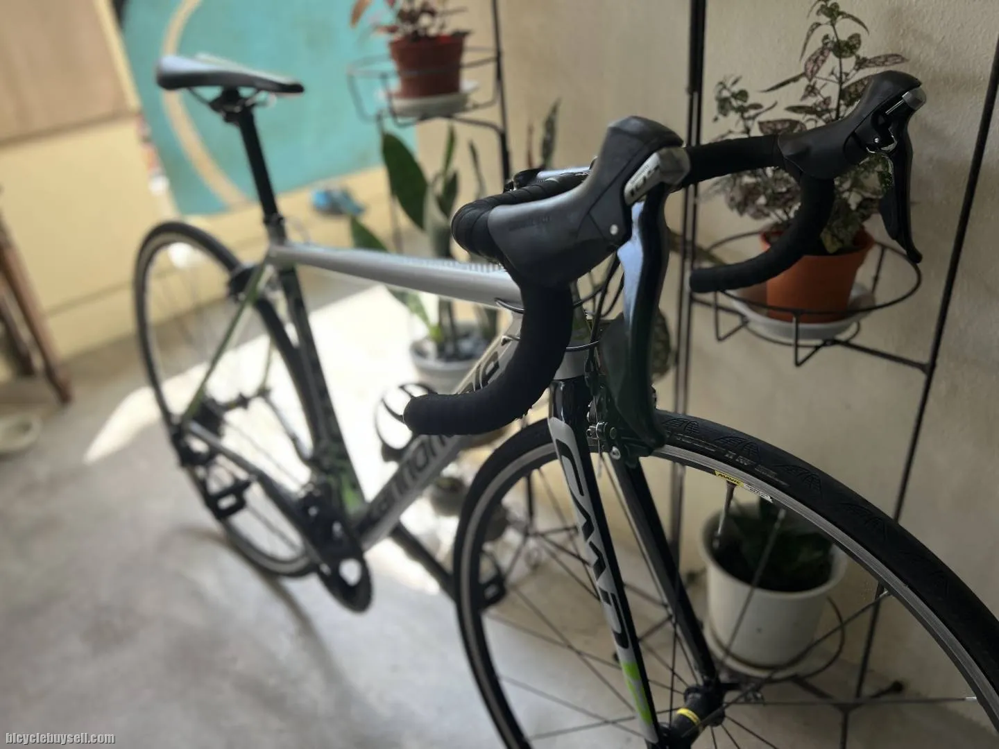 Cannondale Caad 12 size 48