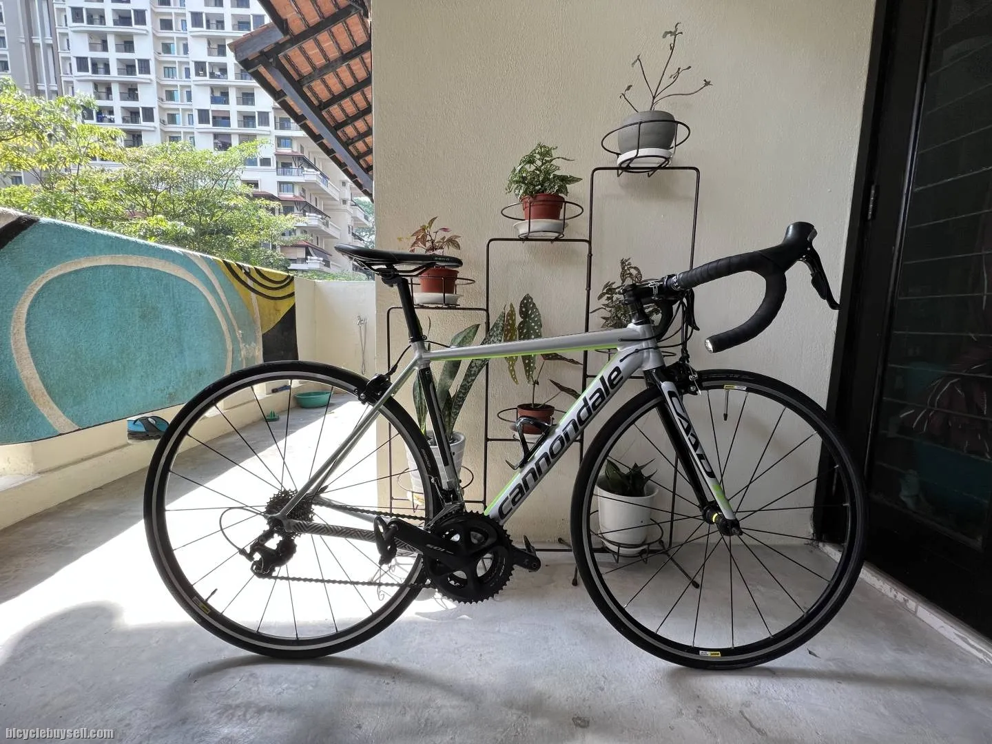 Cannondale Caad 12 size 48