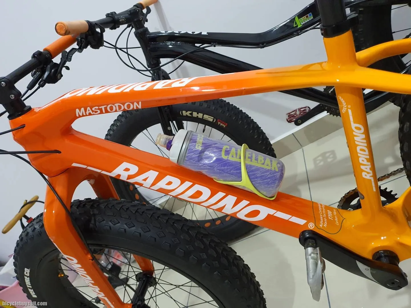 Rapidino MASTODON