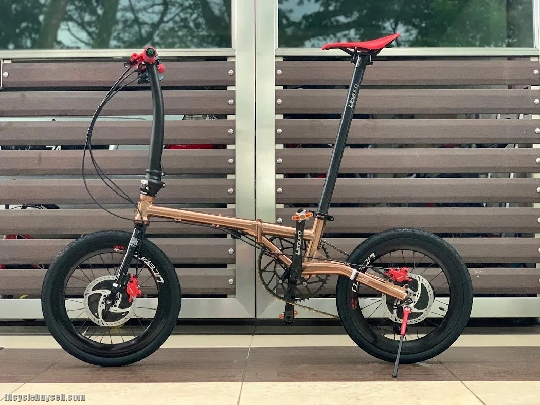 (SOLD) Fnhon Gust Folding Bike