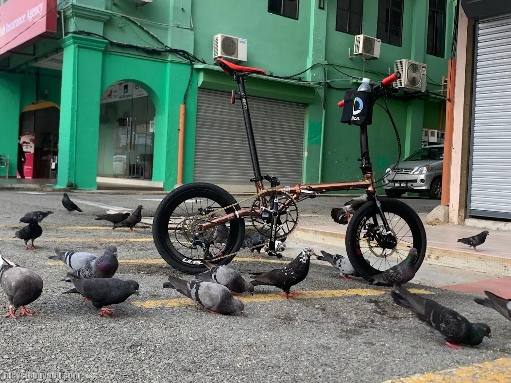 (SOLD) Fnhon Gust Folding Bike