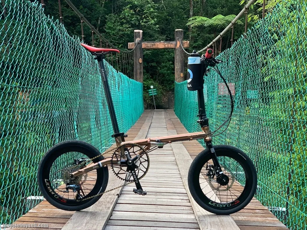 (SOLD) Fnhon Gust Folding Bike