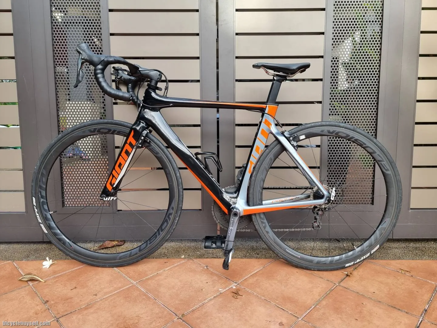 Giant Propel Advanced 1