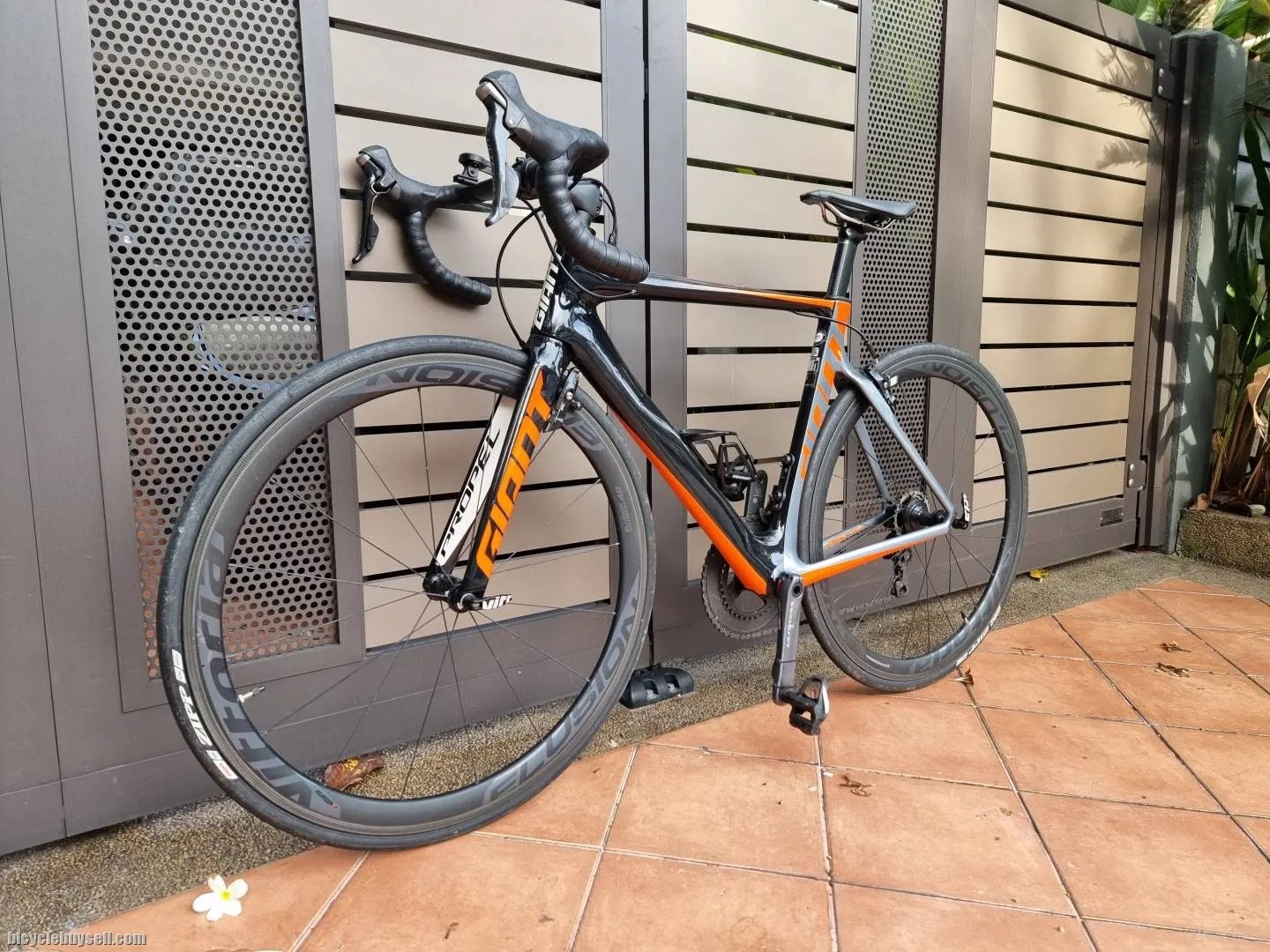 Giant Propel Advanced 1