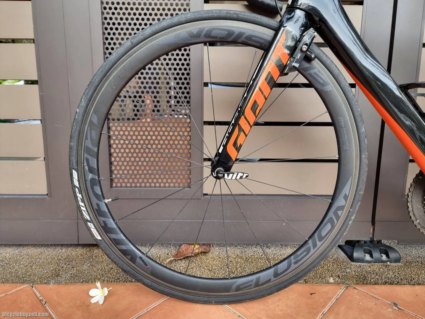 Giant Propel Advanced 1
