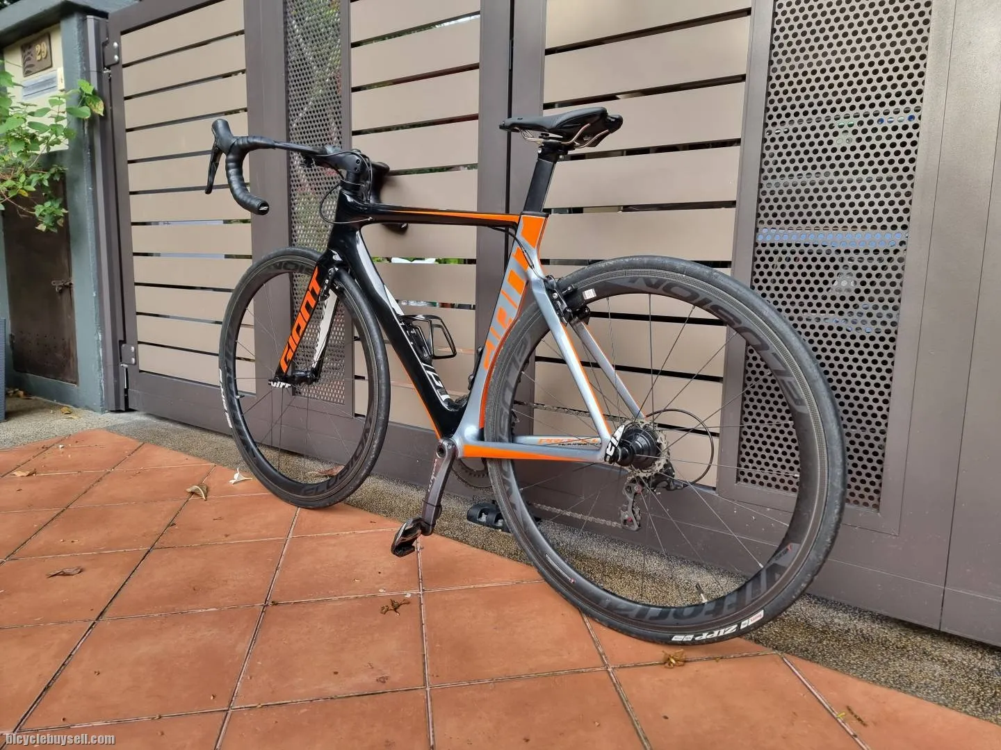 Giant Propel Advanced 1
