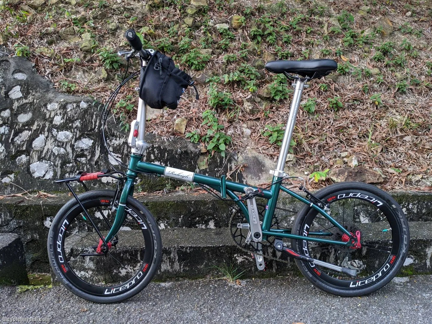 Raleigh Classic 20 inch