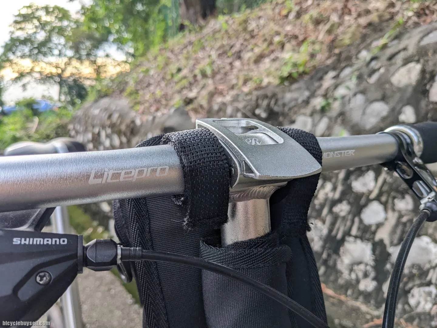 Raleigh Classic 20 inch