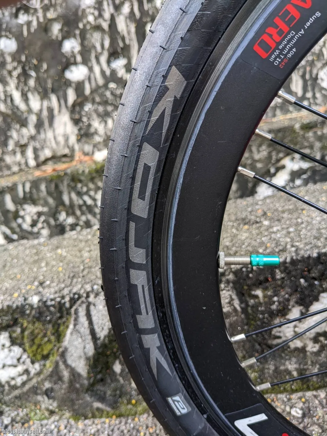 Raleigh Classic 20 inch