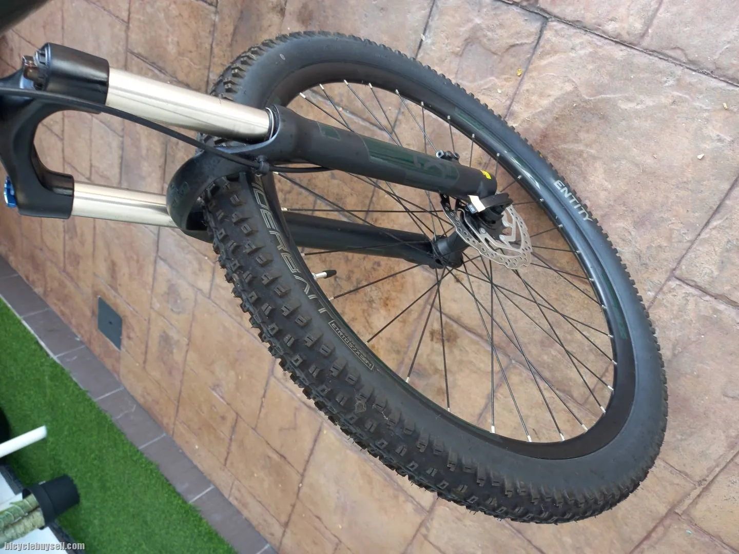 Wts polygon xtrada 6 2022