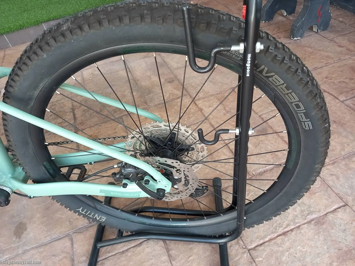 Wts polygon xtrada 6 2022