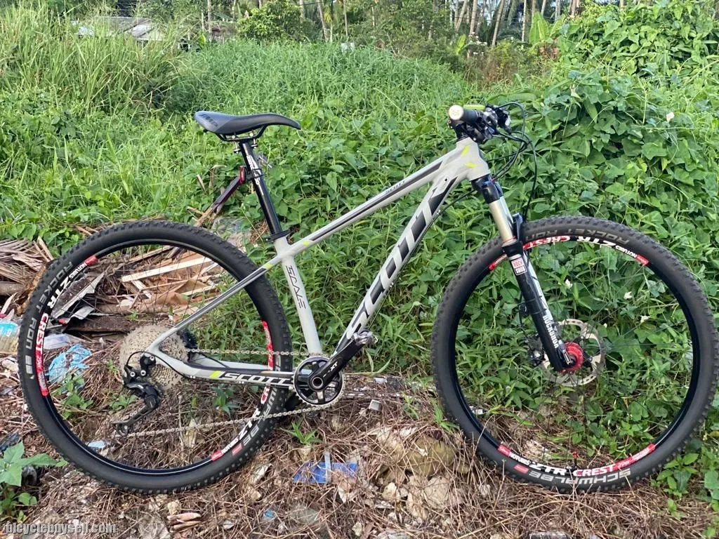 Scott 29er