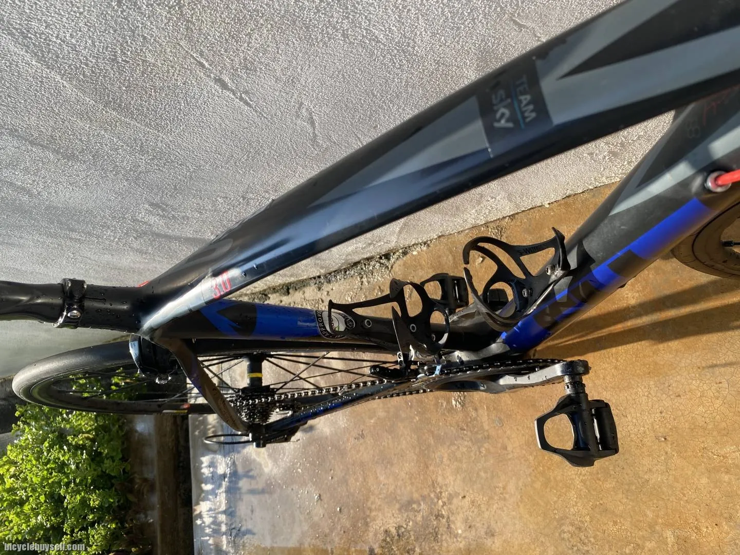 Fuji Carbon Roadbike