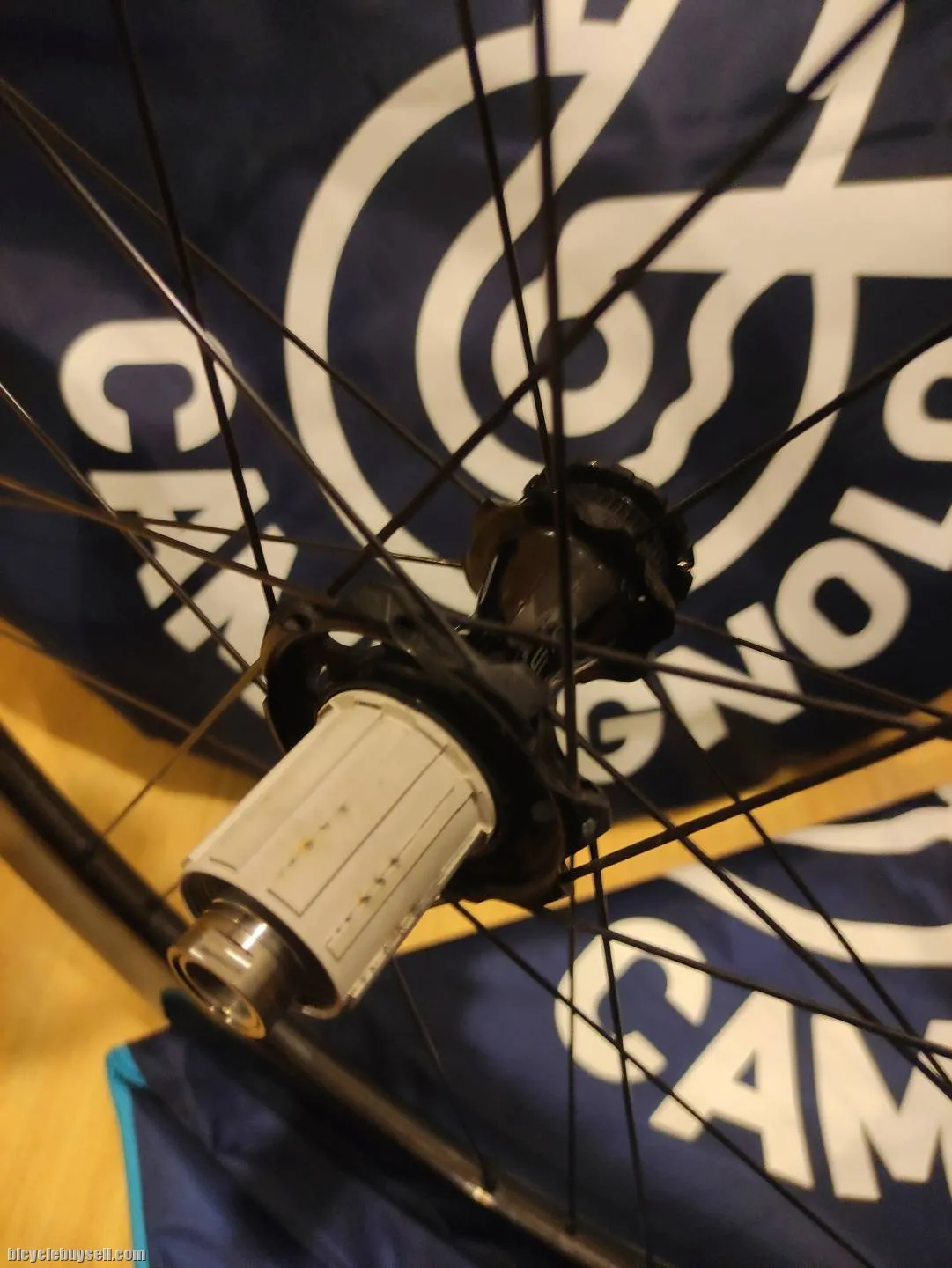 Bora WTO 60 mm Disc Brake