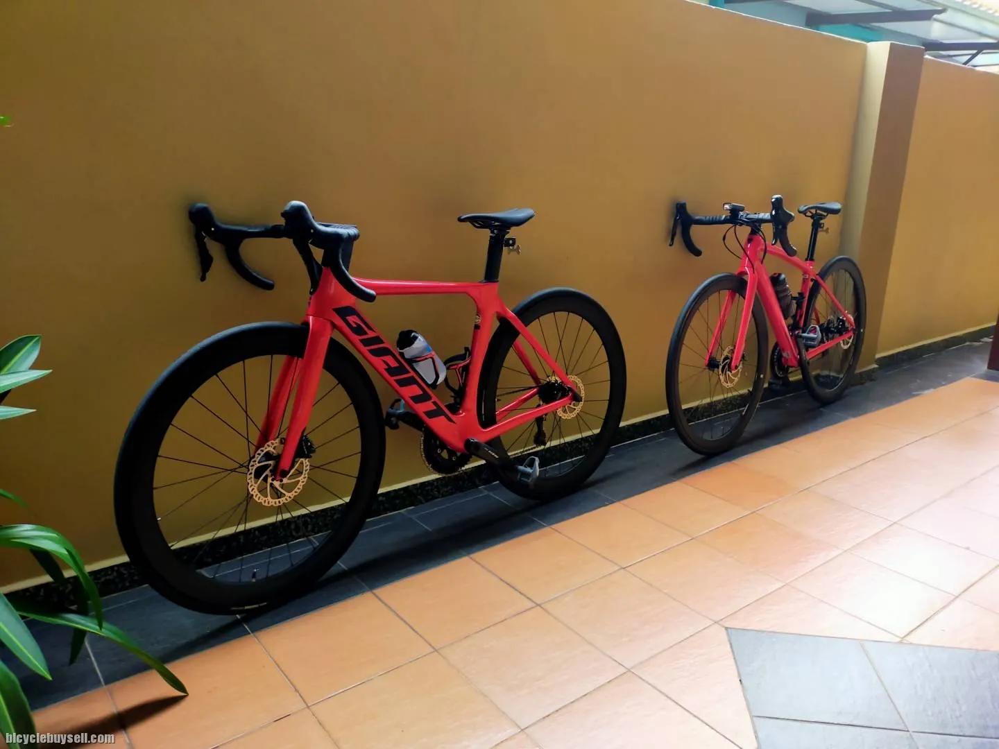 Trek Domane 2