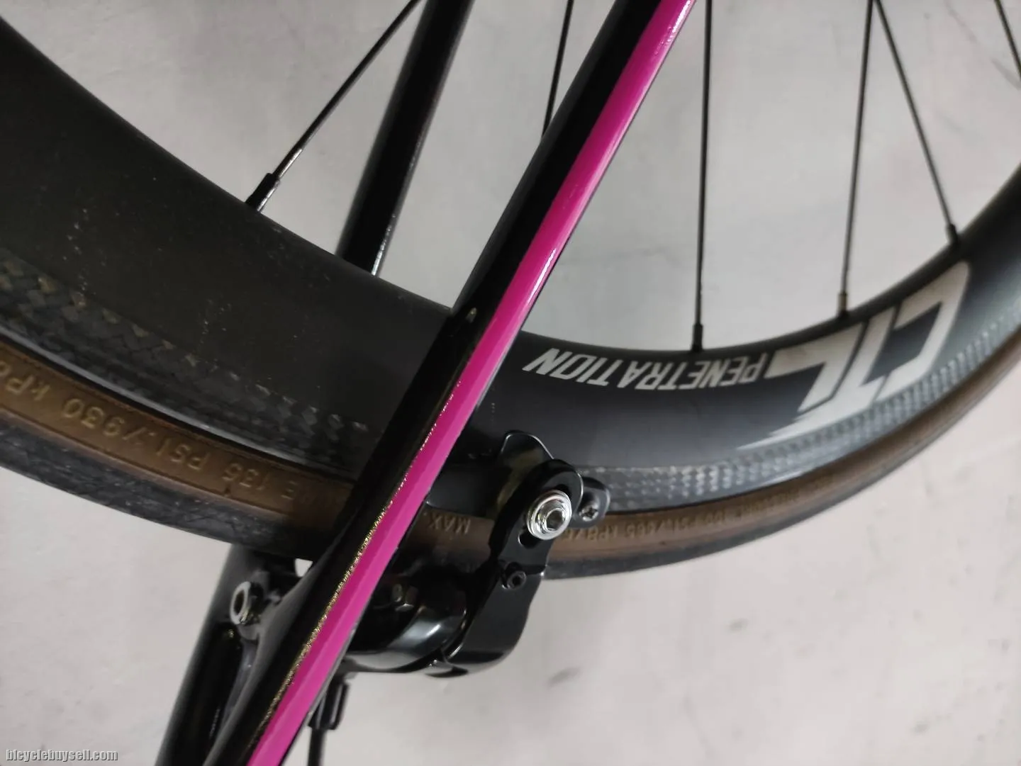 pardus super 5 carbon st george continental limited edition road bike