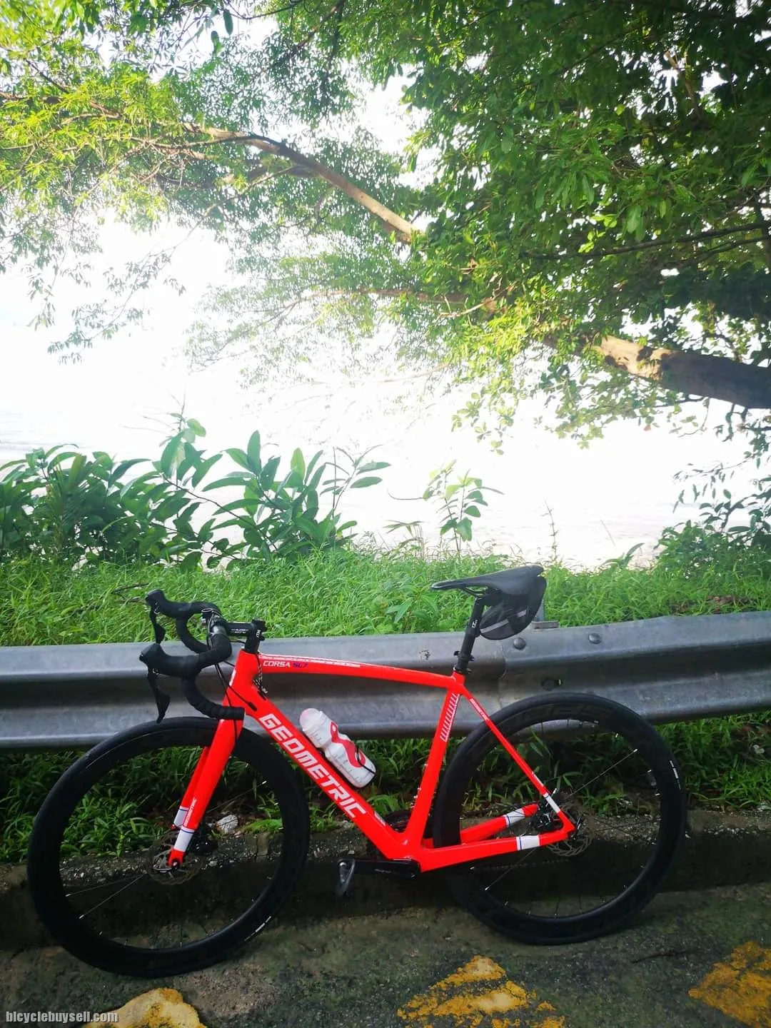 Geometric Roadbike Corsa SL7 54cm
