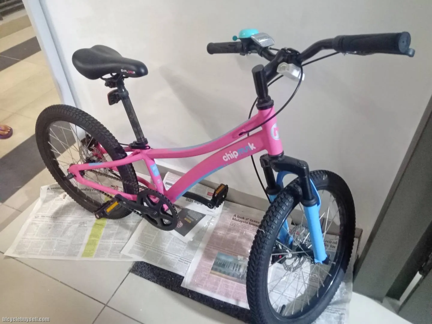 Chipmunk