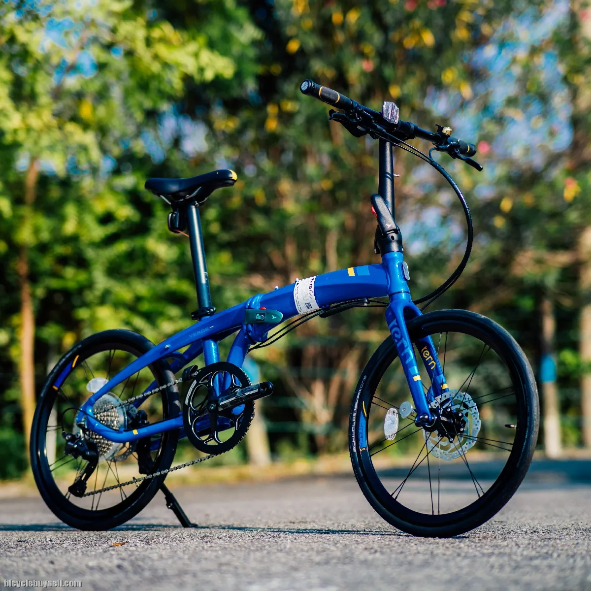 Tern Verge P10