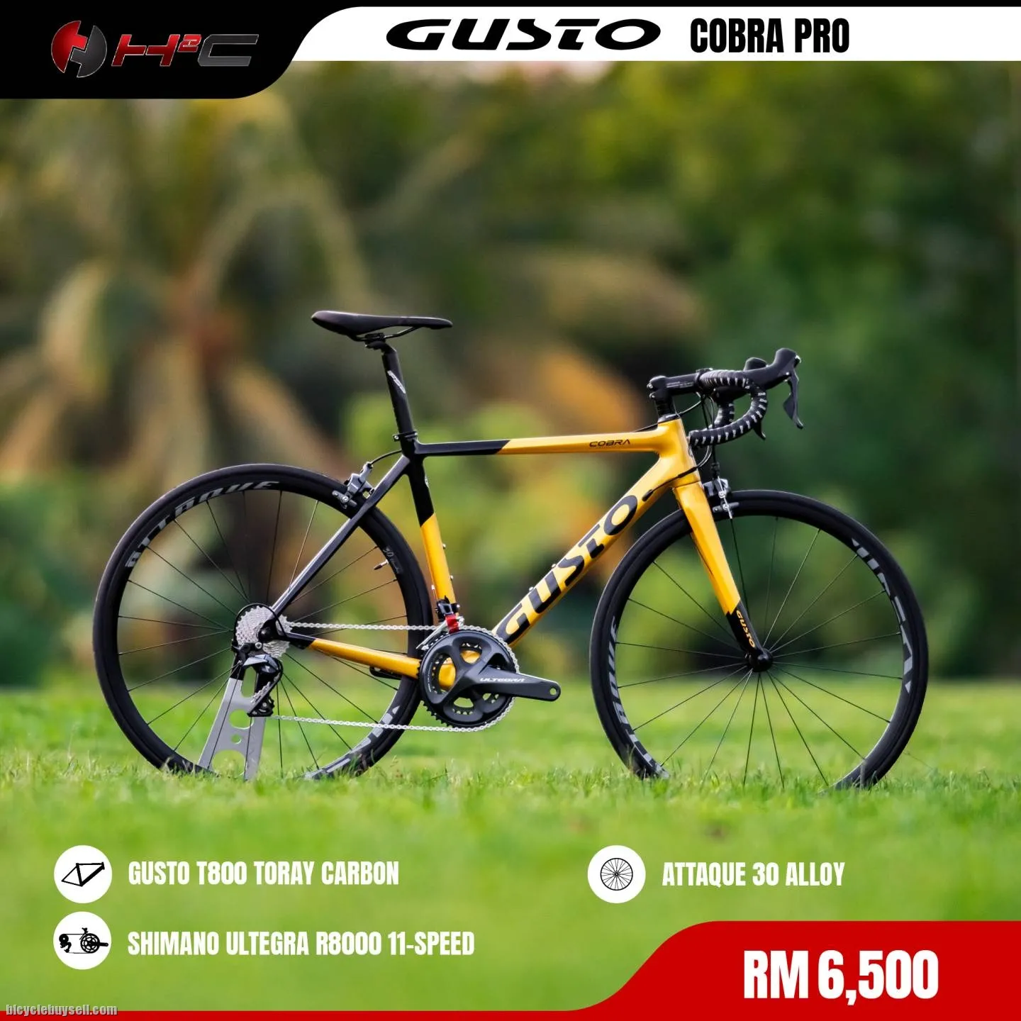 GUSTO COBRA PRO