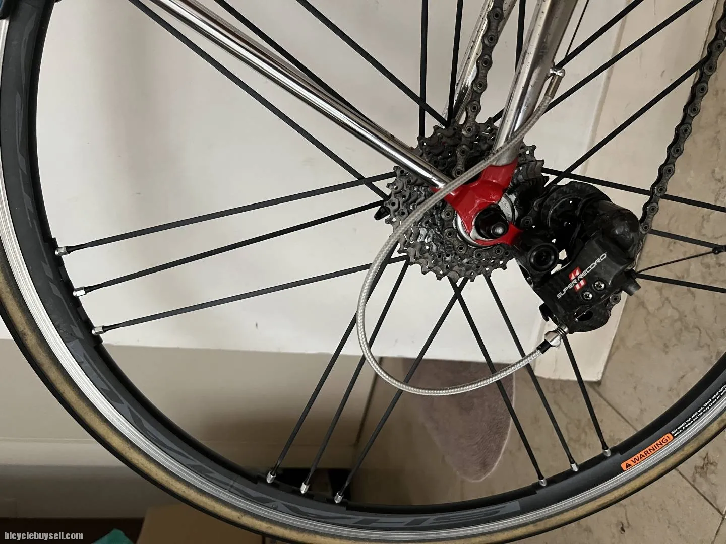 Colnago Master Art Decor