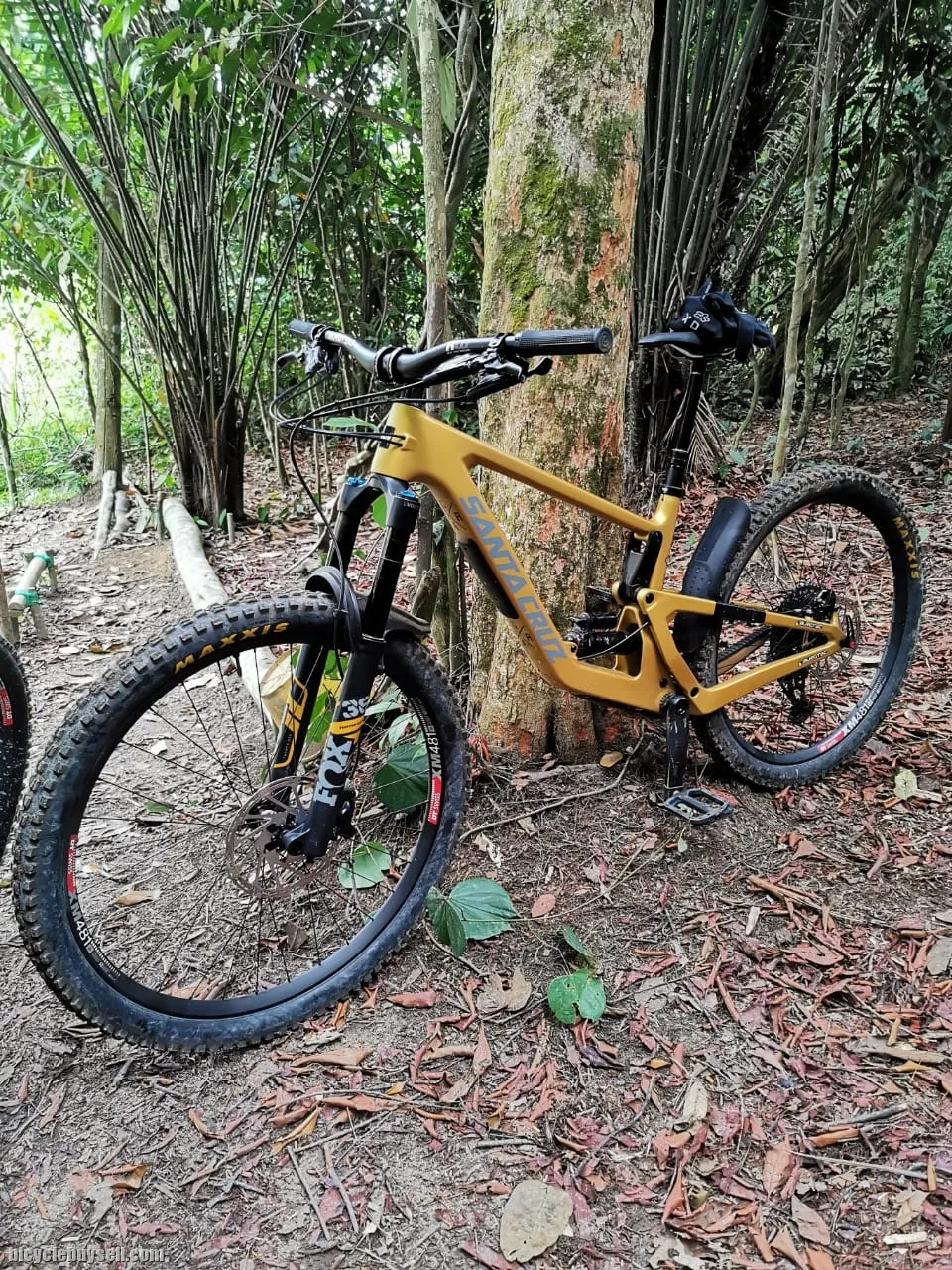 Santa Cruz Bronson MX 2022