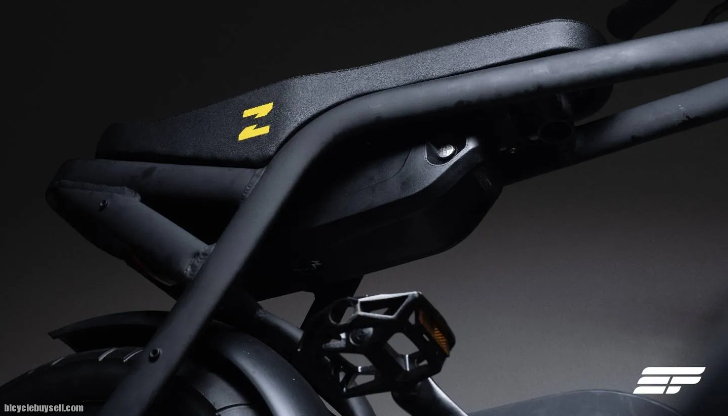 Electric Bicycle Zeus Bolt (Basic advanced model)
