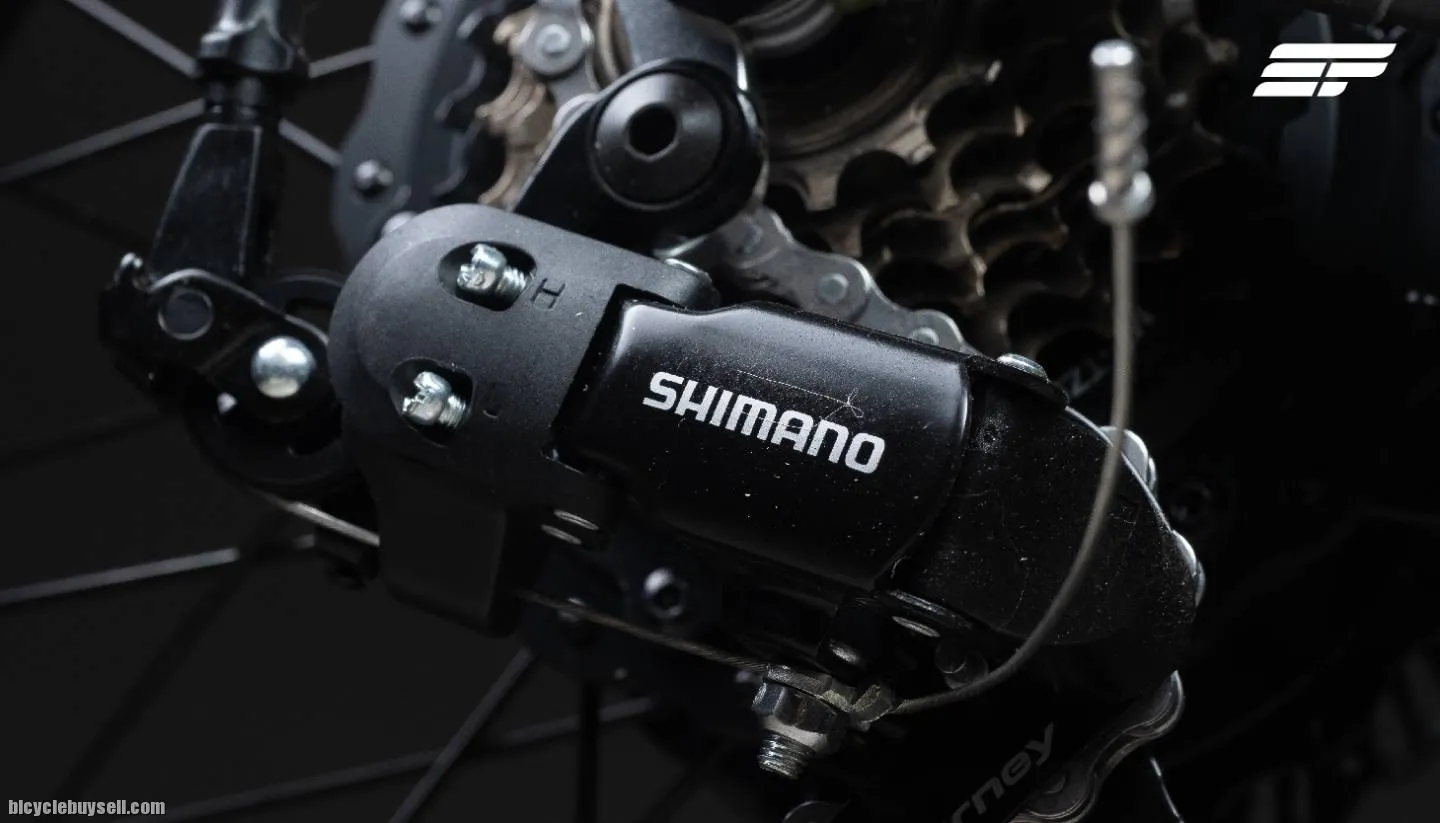 Electric Bicycle Zeus Bolt (Basic advanced model)