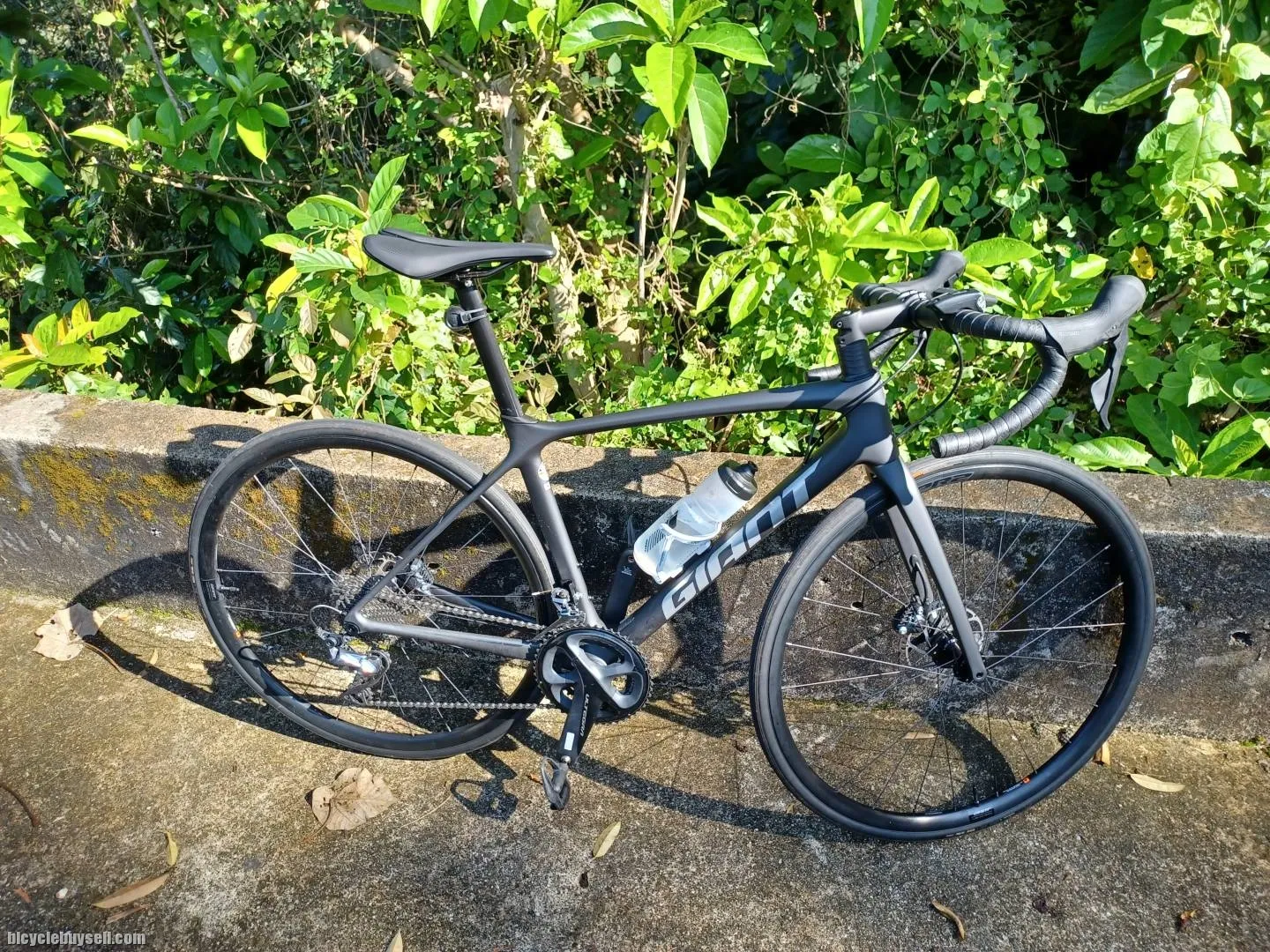 Giant TCR Advance KOM 2021