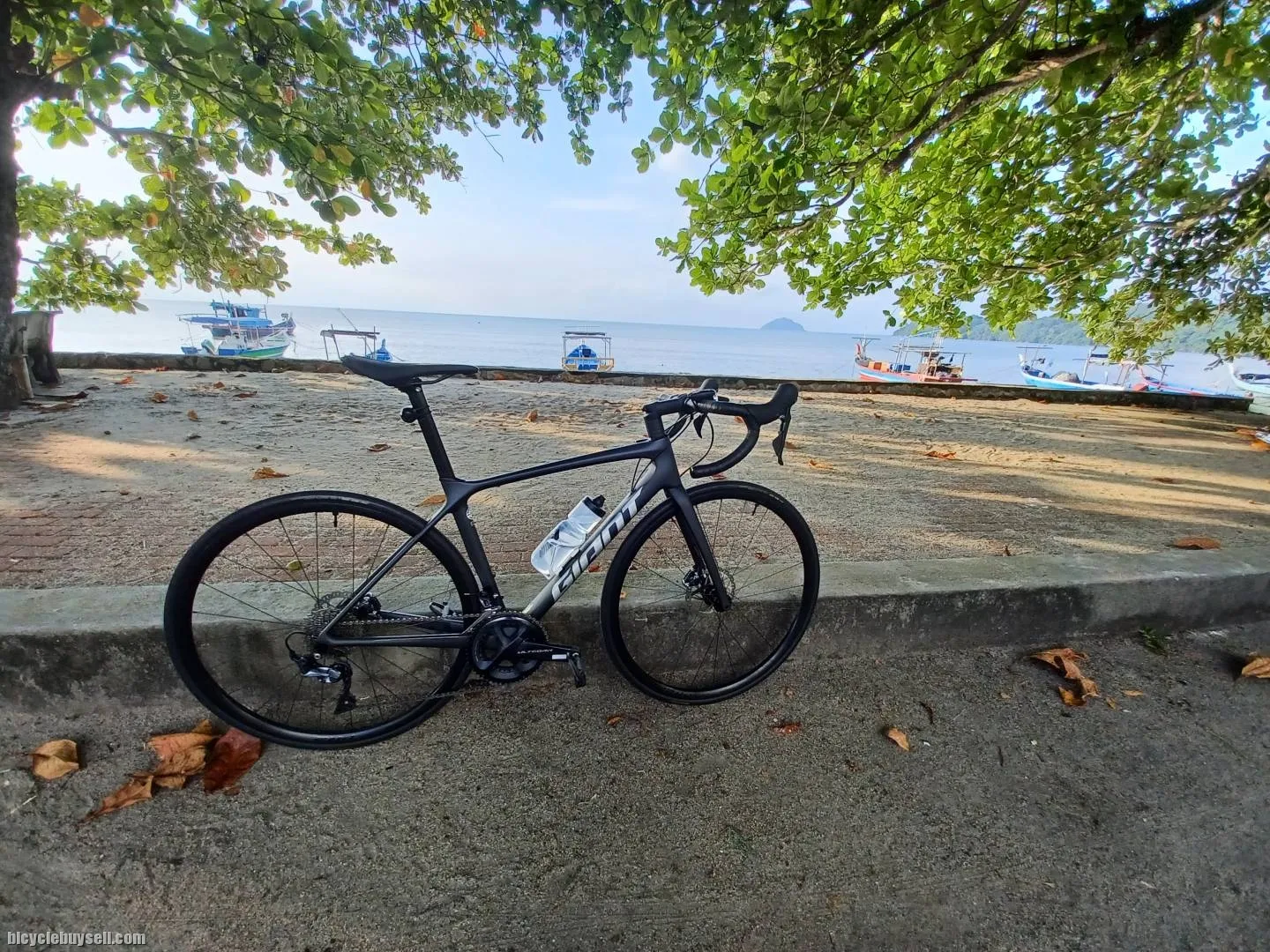 Giant TCR Advance KOM 2021