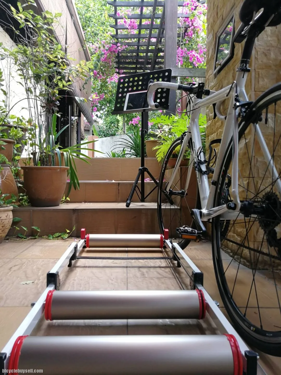 Moz-Roller Trainer   |   MINOURA  JAPAN