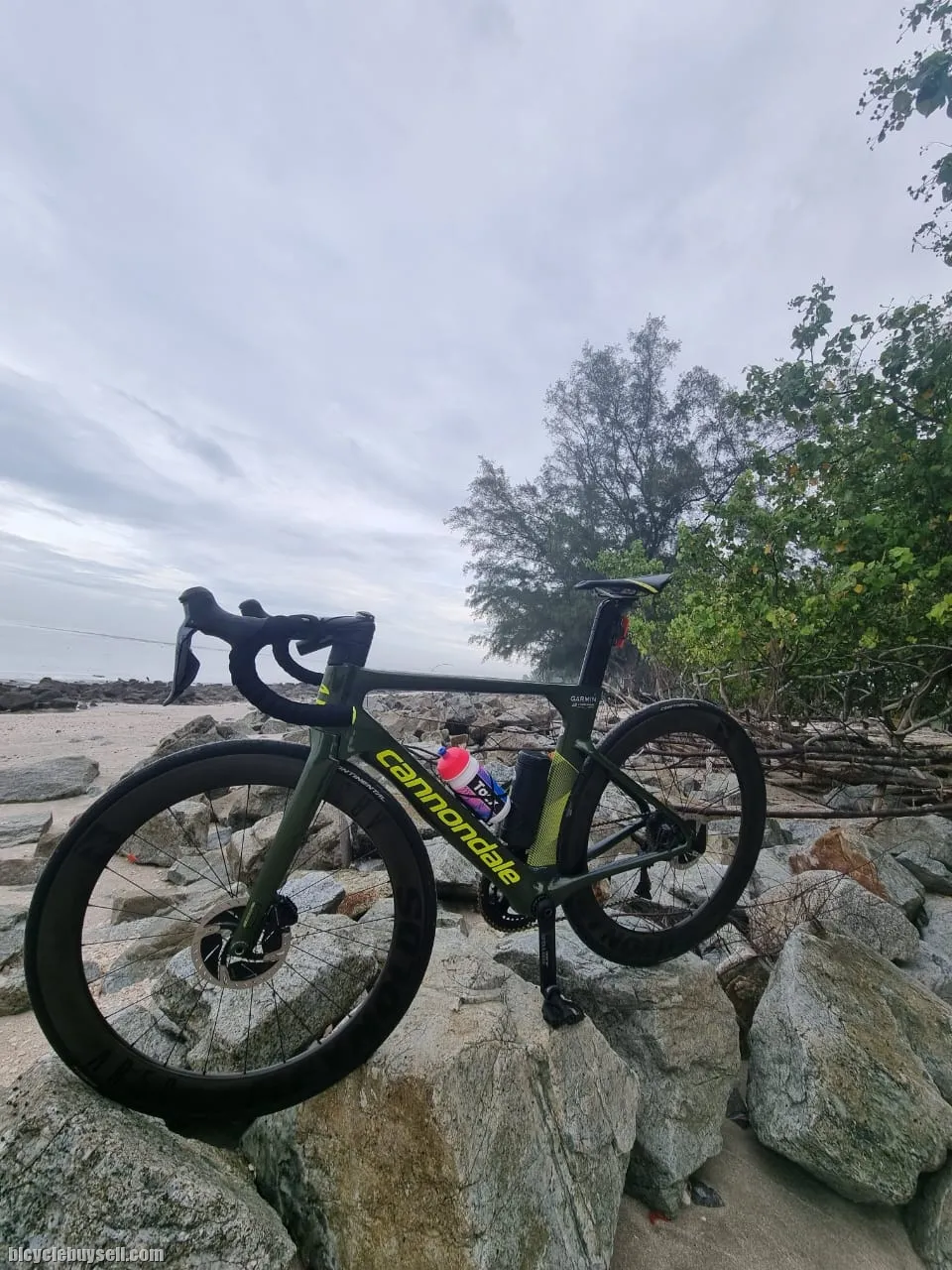 Roadbike