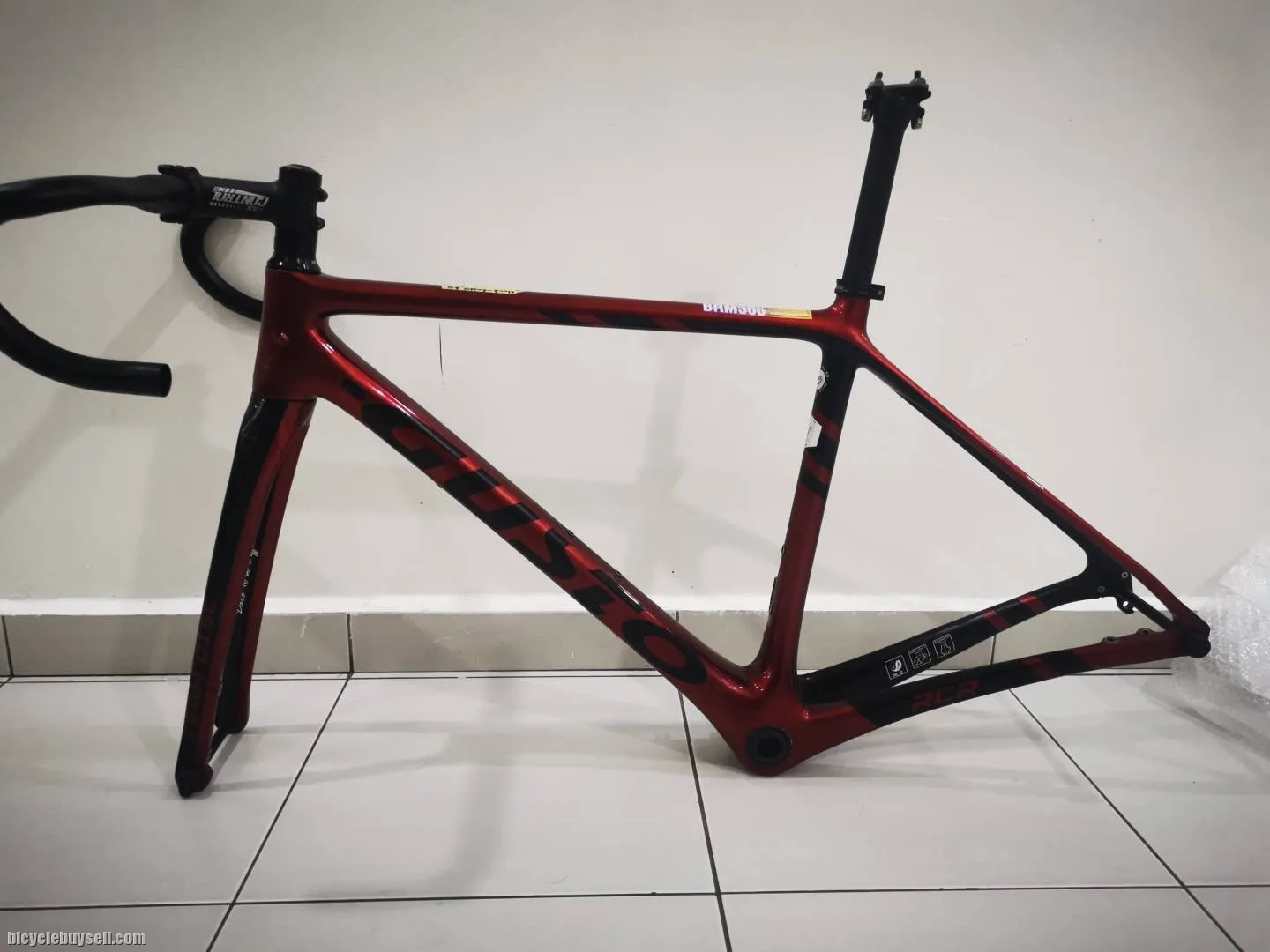 Full carbon frame Gusto RCR