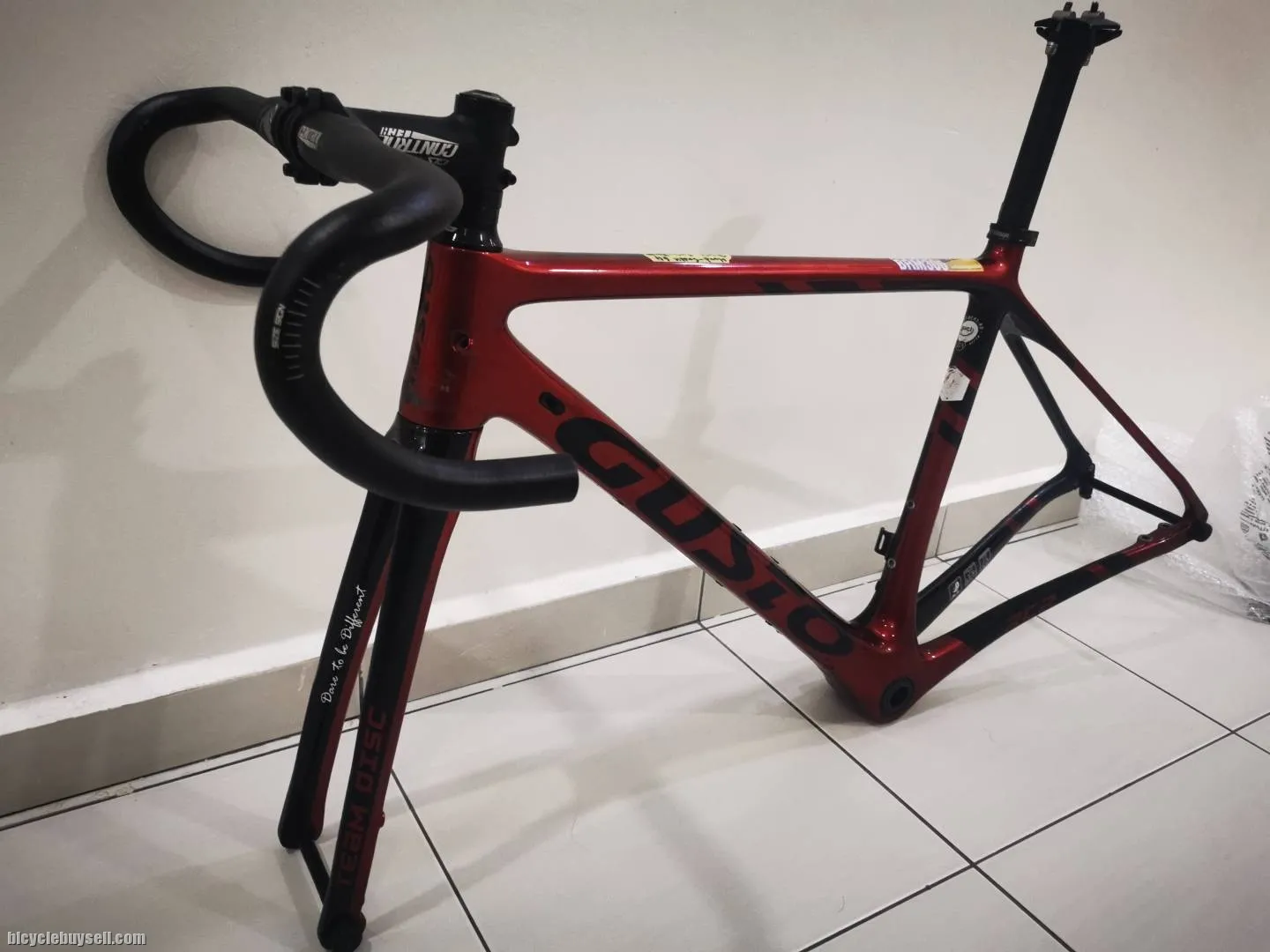 Full carbon frame Gusto RCR